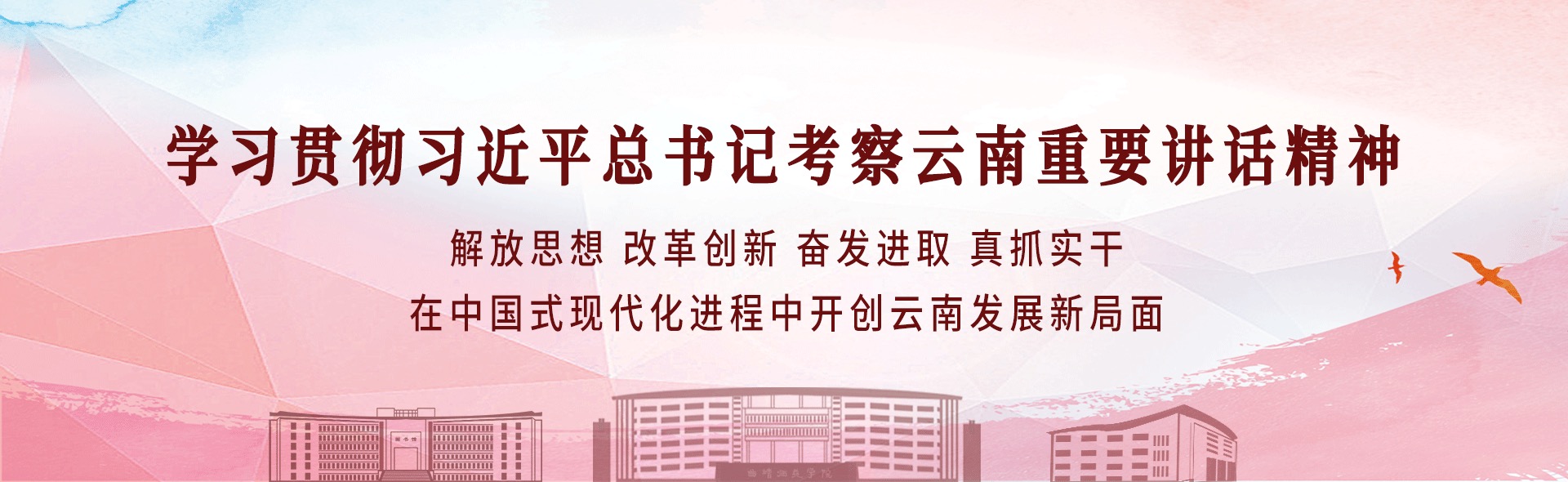 学习贯彻习近平总书记考察云南重要讲话精神